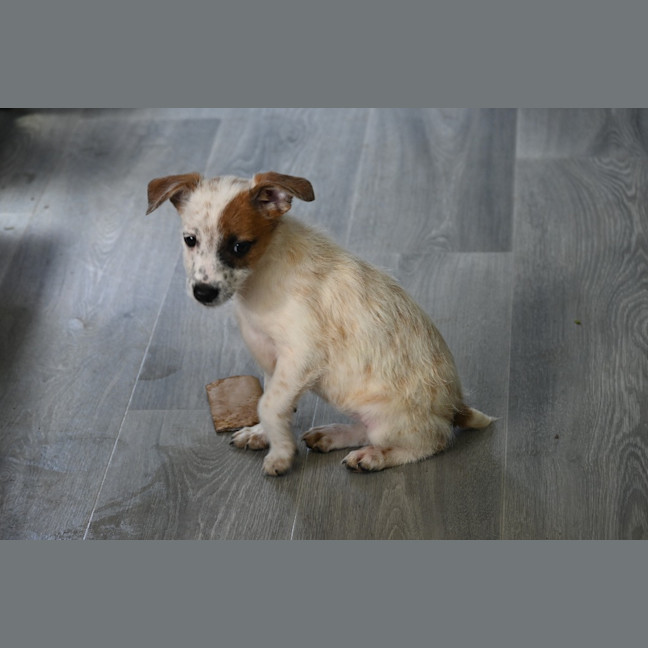 Photo of Thelma