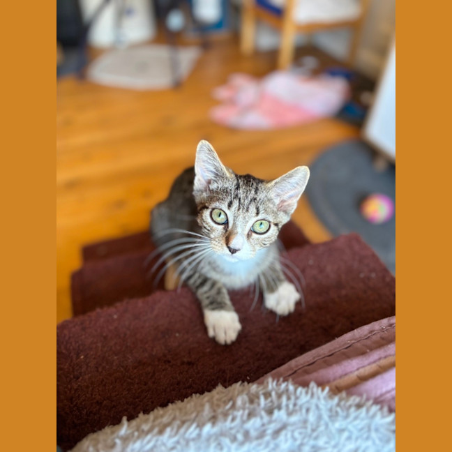 Photo of Floyd