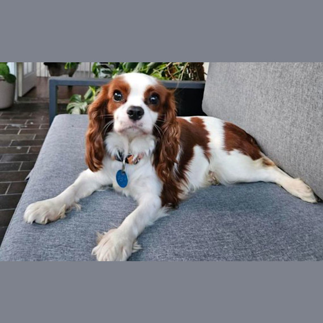 Photo of Zoe