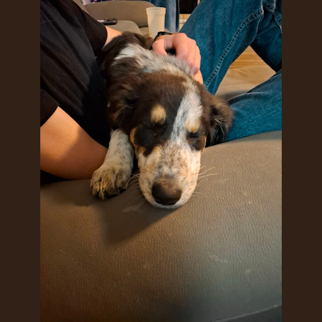 Photo of Polly