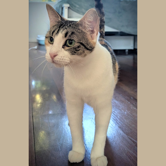 Photo of Minnie