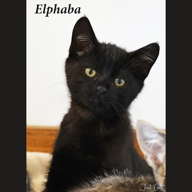 Photo of Elphaba