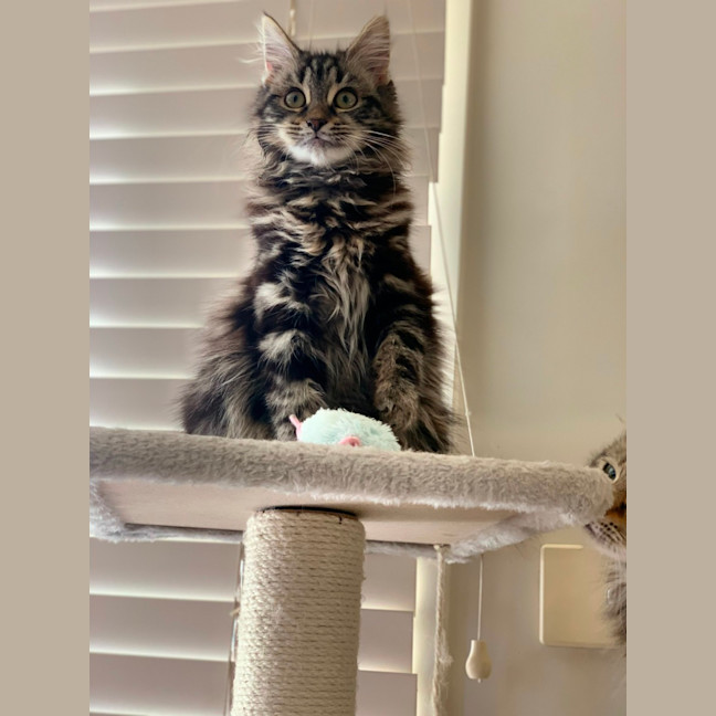 Photo of Jagger & Freya Rose 🌹