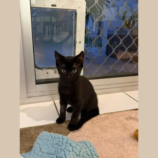 Photo of Sullie