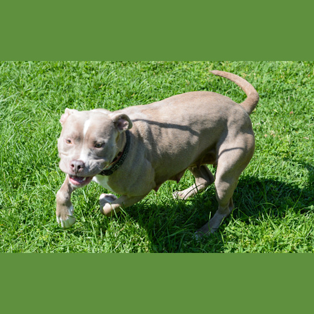 Photo of Wilma