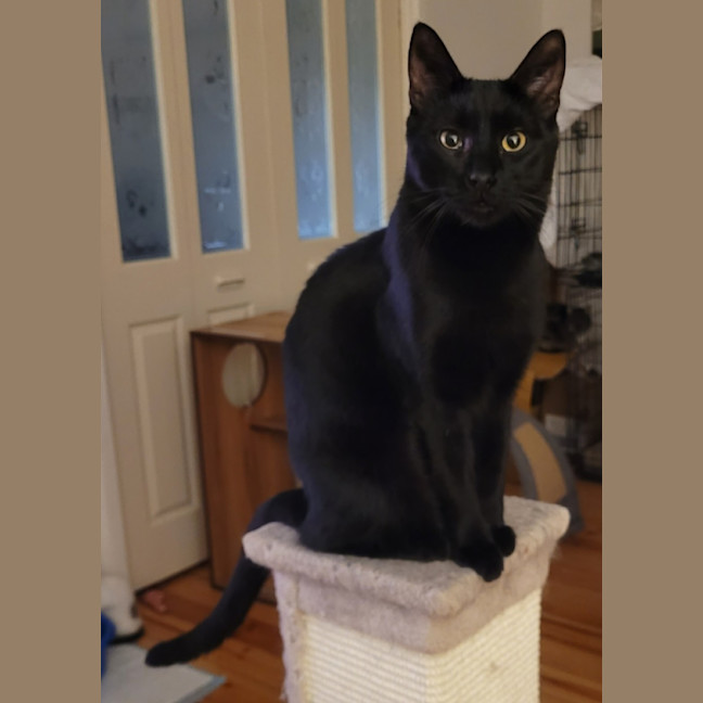 Photo of Troy 