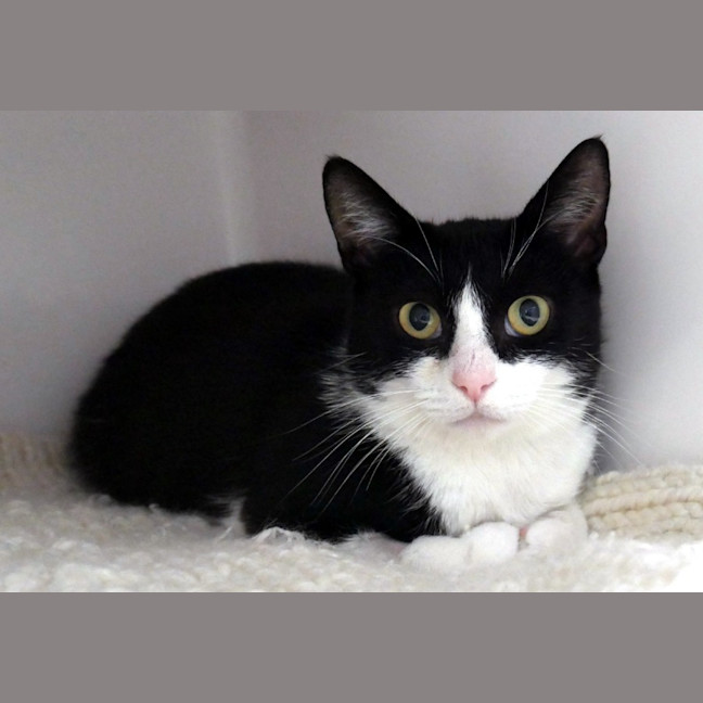 Photo of Lilo Sta013352