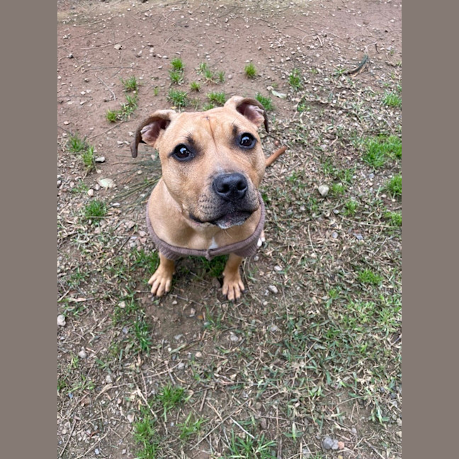 Photo of Luna