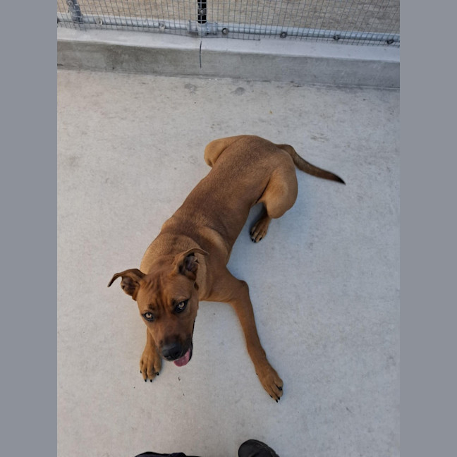 Photo of Bella 62/2026