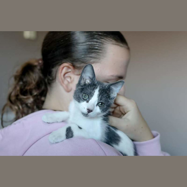 Photo of Smidge