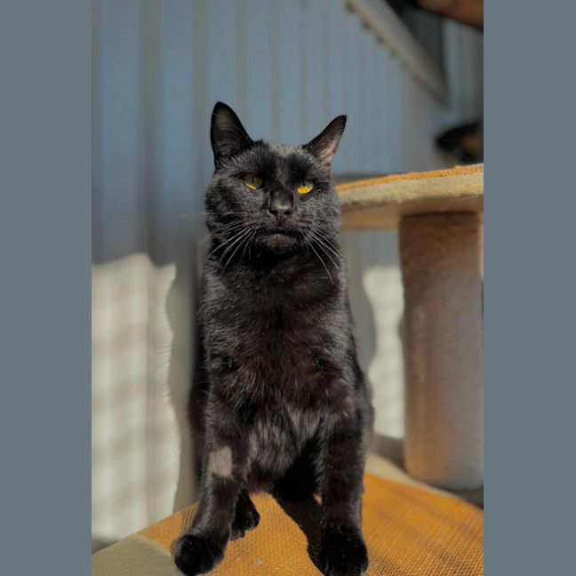 Photo of Wilson 