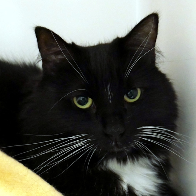 Photo of Sushi Sua014686