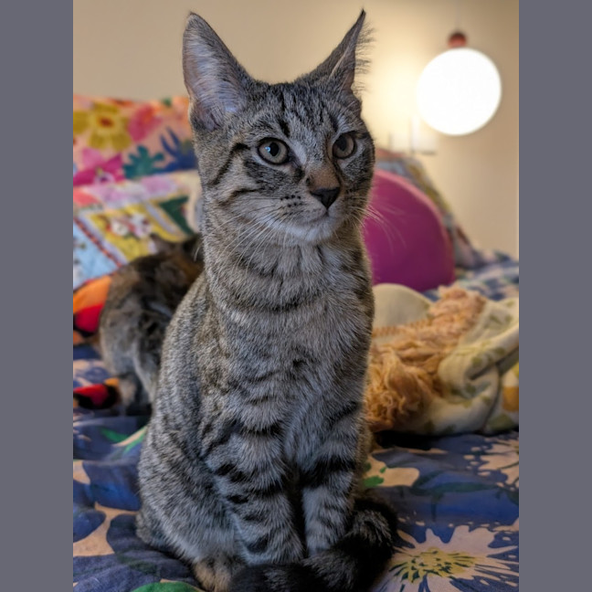 Photo of Tim Tam