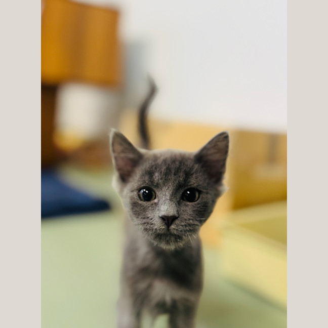Photo of Wiggles 