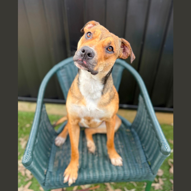 Photo of Betty