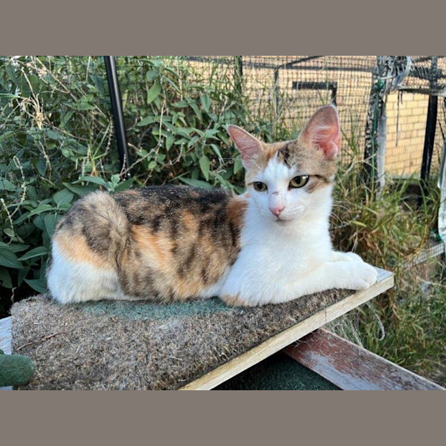 Photo of Hazel Moriarty