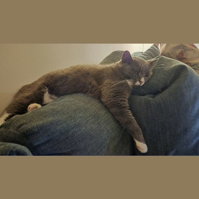 Photo of Butternut
