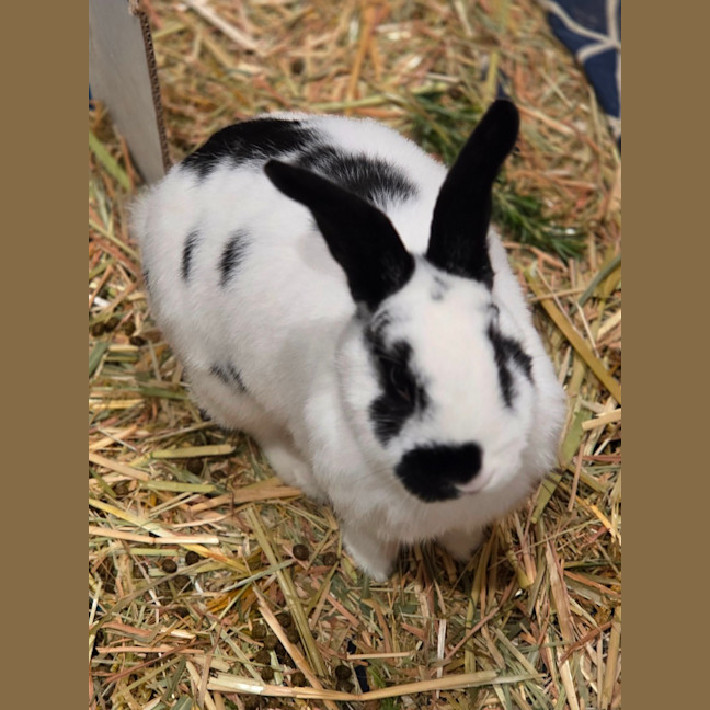 Photo of Andy & Astro