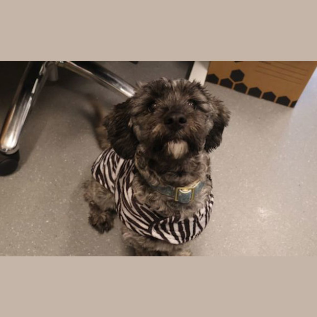 Photo of Murphy