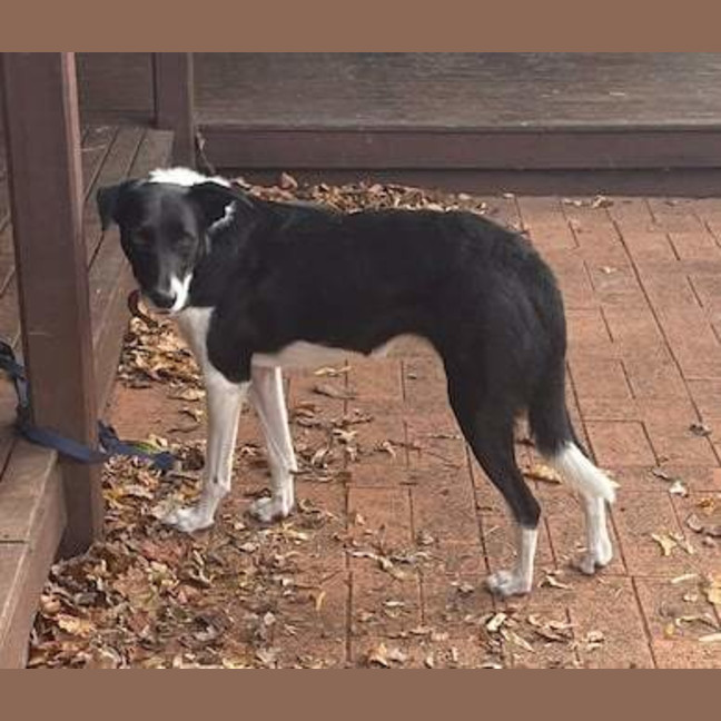 Photo of Maggie