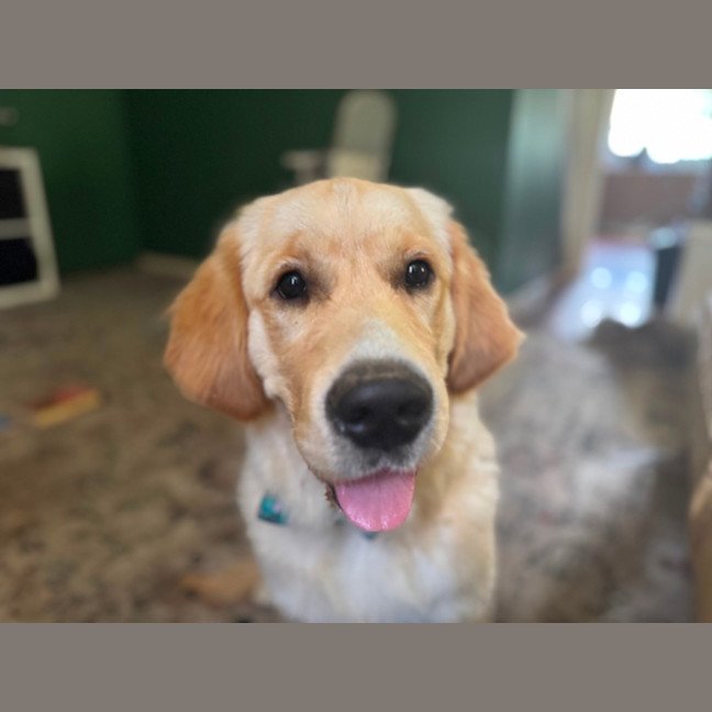 Photo of Milo