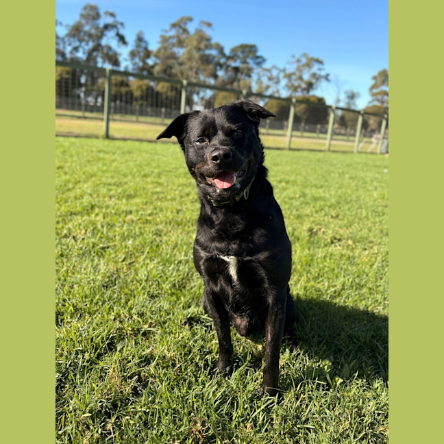 Photo of Fizz