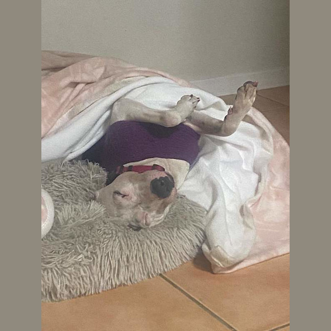 Photo of Lucy
