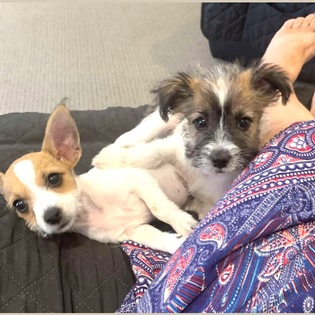 Photo of Messiah Muddle