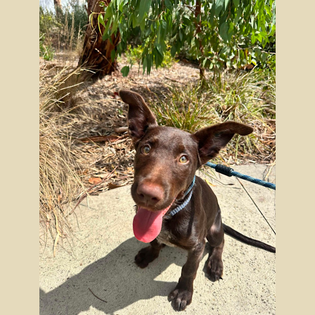 Photo of 🥯 Bagel 5769 🥯