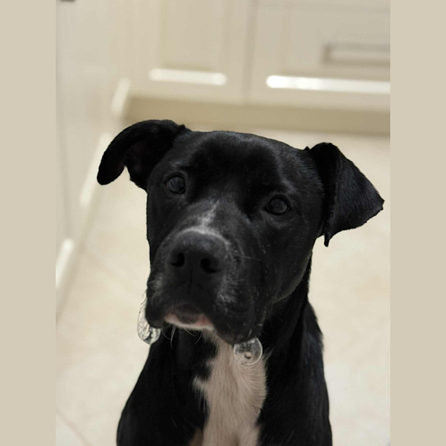 Photo of Sanka