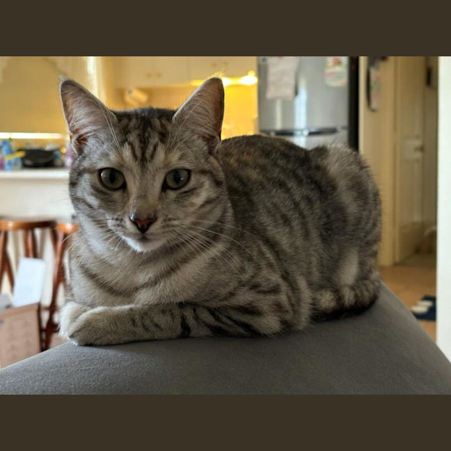 Photo of Arianna Quinnell