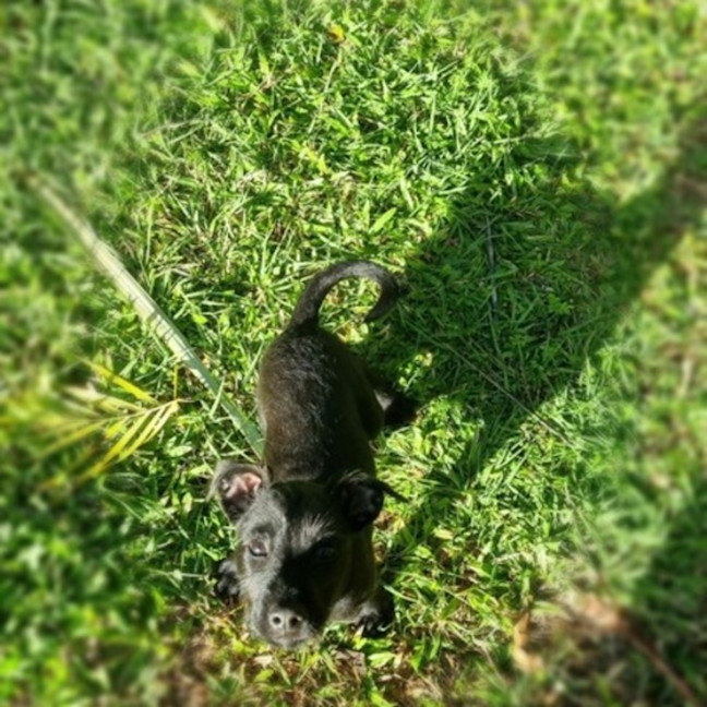 Photo of Agatha