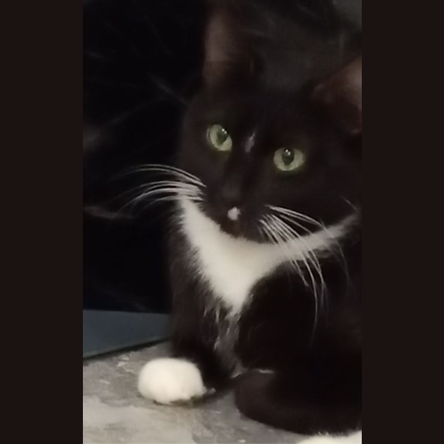 Photo of Cassie