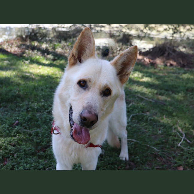 Photo of Polar