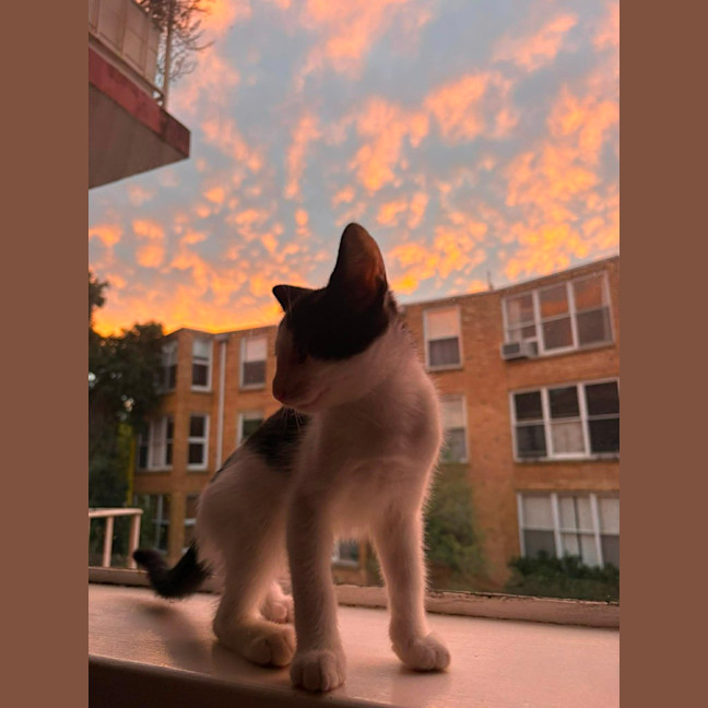 Photo of Benny