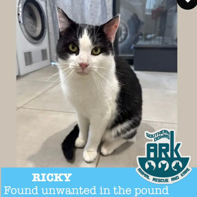 Photo of Ricky 