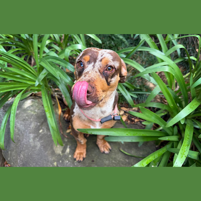 Photo of Beanie