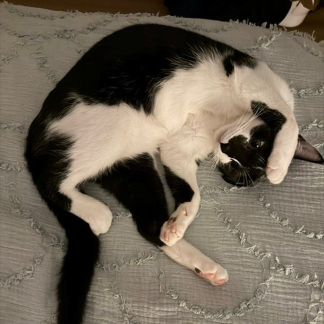 Photo of Percy