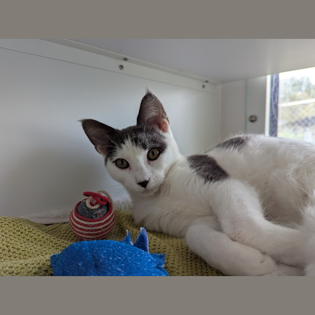 Photo of Sooty