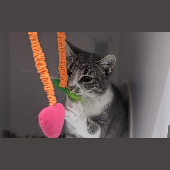 Photo of Marty