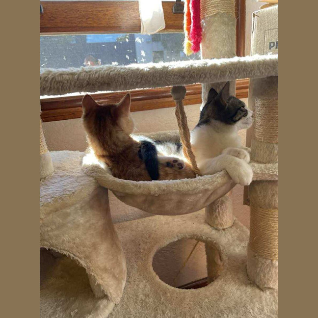 Photo of Mr White   Located In Reservoir