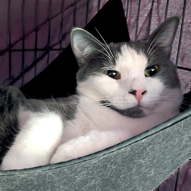 Photo of Buster