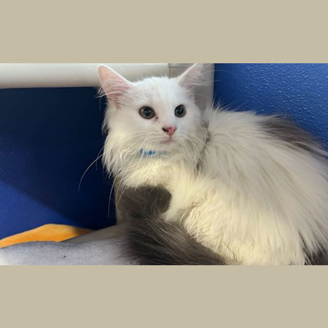 Photo of Penelope