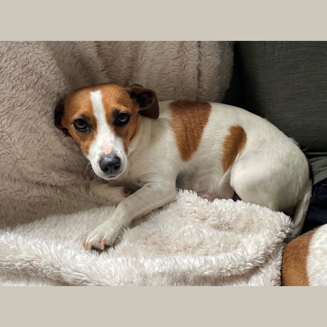 Photo of Daisy Kumara