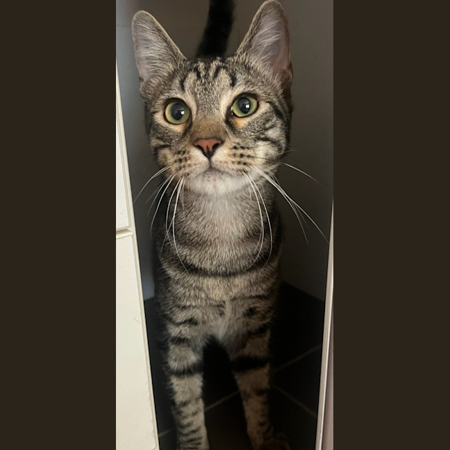 Photo of Spirit