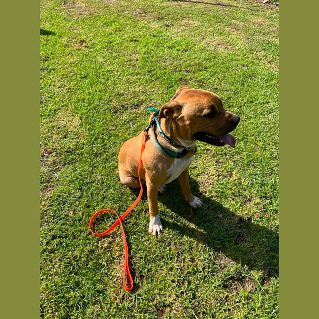 Photo of Zuko