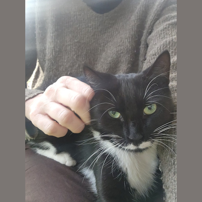 Photo of Maggie