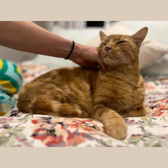 Photo of Sir Richard