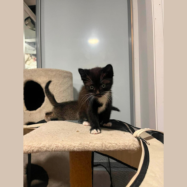 Photo of Brew