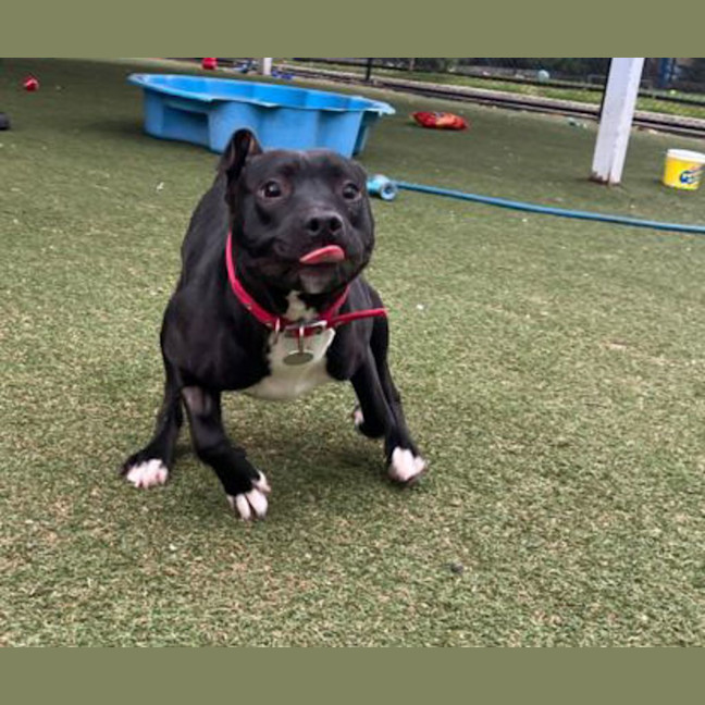 Photo of Lenny